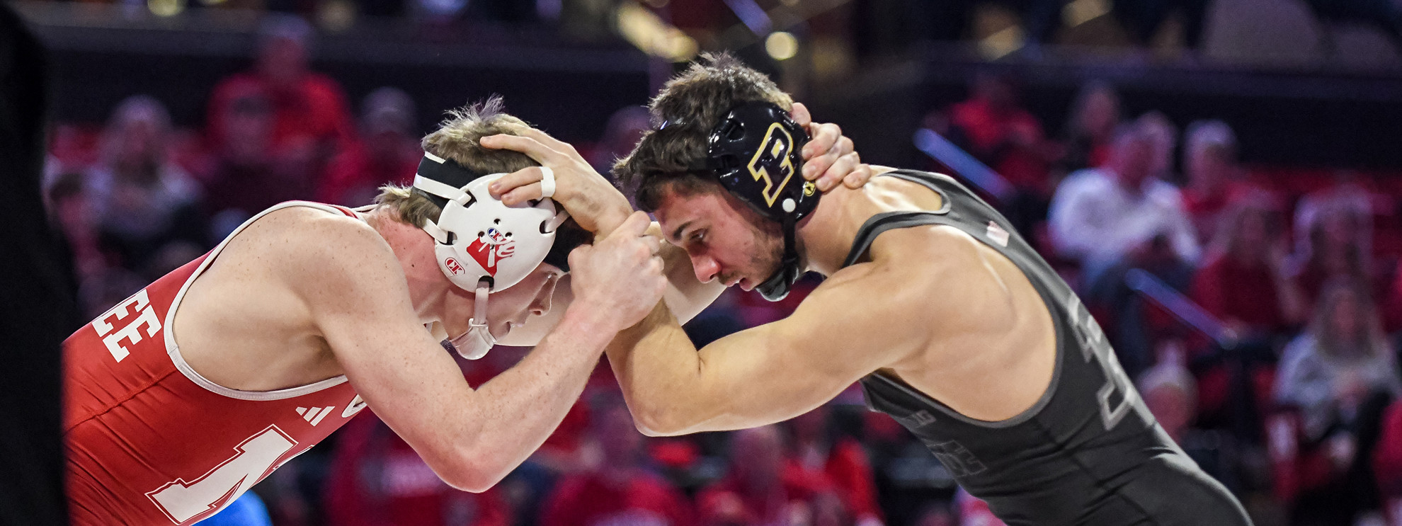 Image for Purdue basketball road games