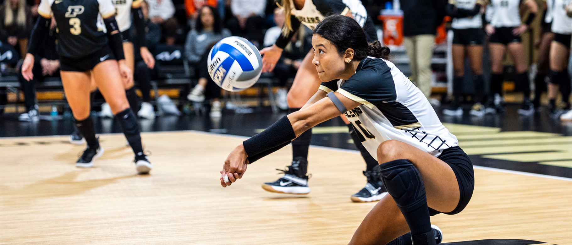 Nataly Moravec headshot