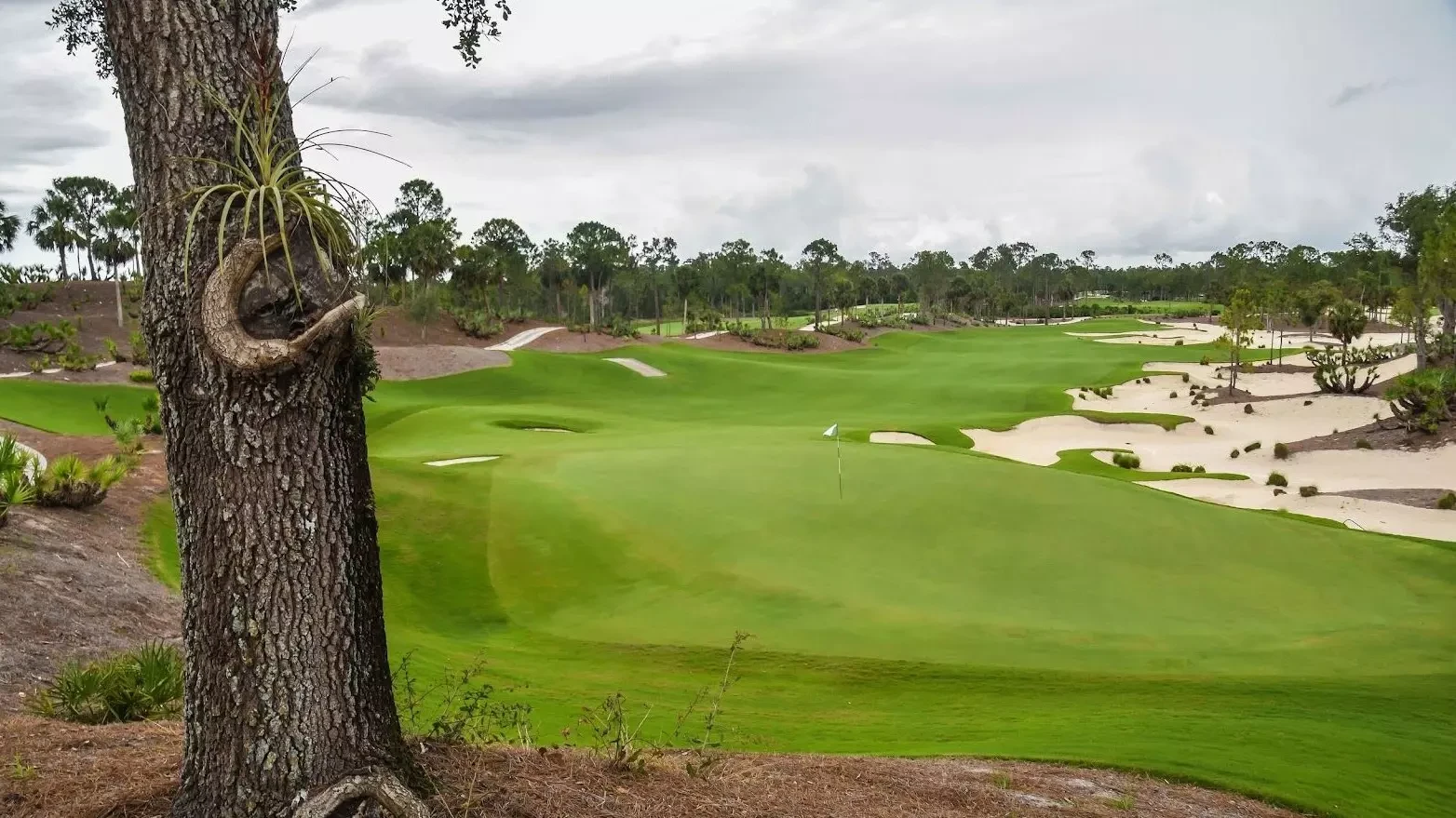 Purdue Men's Golf Continues Busy Stretch at Calusa Pines - Purdue ...